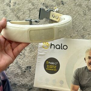 Halo dog collar (version 2+) size Medium